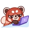 Red Panda mov 17