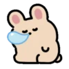 sleepy animal .MOV 22