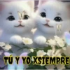 ANIMALITOS MOV. 27