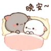 michi mocha cats 28