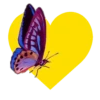 Mariposas en corazón amarillo 1 mov 27