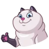 Cats 15