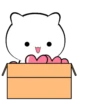 Simple Cat .MOV 23