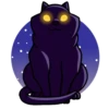 Cats 17