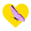Mariposas en corazón amarillo 1 mov 30