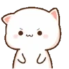 michi mocha cats 30