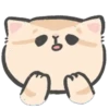Gatitos mov 30