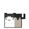 Pedid meow mov 24