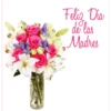 Día de la Madre 2 Movi.zip 6