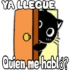 Black cat 2y relleno 6