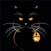 Black cat 2y relleno 7
