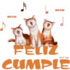 Feliz Cumple 1 Movi 6