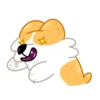 Perro gracioso mov 5