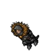 Tibia 6