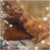Niños 5 mov 5