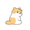 Gatito lindo mov 8