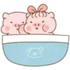 Baby PIG . mov 5
