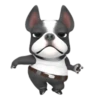 Funny dog 1 mov 5