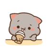 MOCHIS CAT Extra"Y" MOV 8