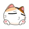 Gatito emoji mov 9