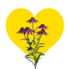 Mariposas y flores en corazón amarillo mov 9
