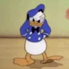 Donald Duck 13