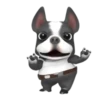 Funny dog 1 mov 8