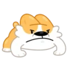 Perro gracioso mov 12