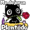 Black cat 2y relleno 11