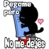 Black cat 2y relleno 13