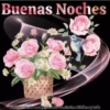 Buenas noches 14