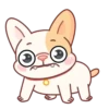 Adorable perro mov 12