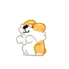 Perro gracioso mov 15