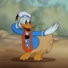 Donald Duck 14