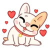 Adorable perro mov 13