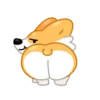 Perro gracioso mov 16