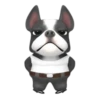 Funny dog 1 mov 9