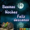 Buenas noches 17