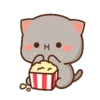 MOCHIS CAT Extra"Y" MOV 12