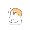 Gatito lindo mov 17