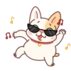 Adorable perro mov 14