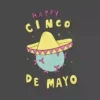 5 De MAYO #1 12