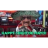 5 De MAYO #1 13