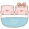Baby PIG . mov 12