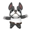 Funny dog 1 mov 12