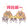 辛卡米克屁貓萌萌全家福 10