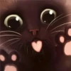 Black cat 2y relleno 16