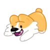 Perro gracioso mov 17