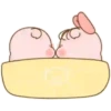 Baby PIG . mov 13