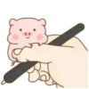 Baby PIG . mov 14